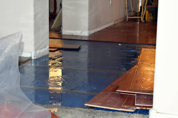 Professional Water Damage Restoration technician working in Leslie, MO